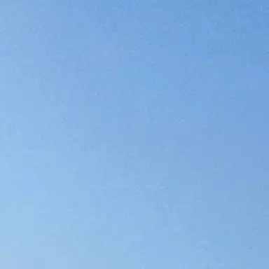 Profile image of 平子