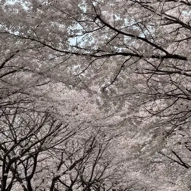 Profile image of 아이젠