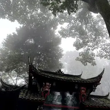 Profile image of 하이터
