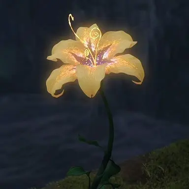 Profile image of ジェイ