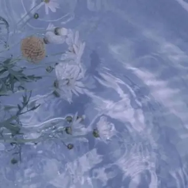 Profile image of 뜰팁 천사