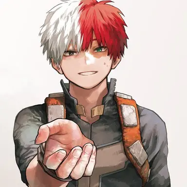 Profile image of Shoto Todoroki