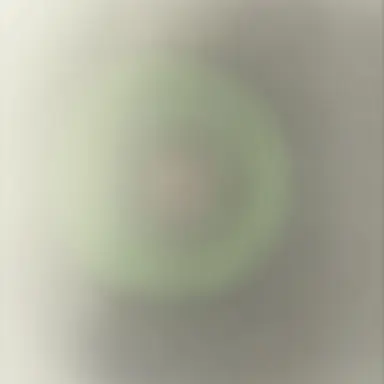 Profile image of 이채영