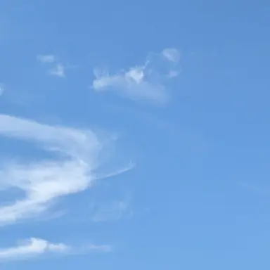 Profile image of 太智