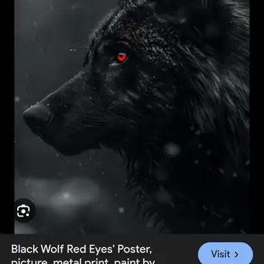 Profile image of Shadow
