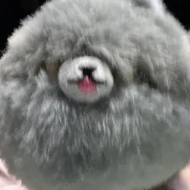 Profile image of 늑대