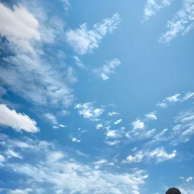 Profile image of 김시혁