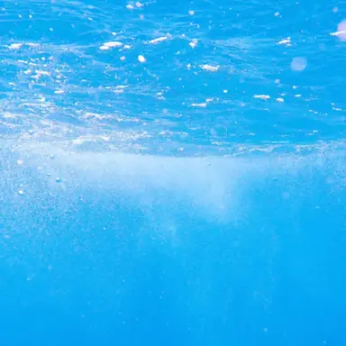 Profile image of 잭