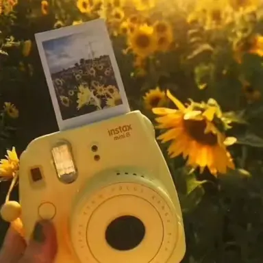 Profile image of 김각별