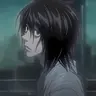 Profile image of L lawlist