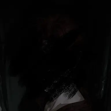 Profile image of 알프