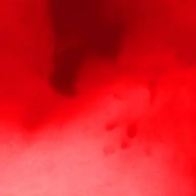 Profile image of 曽野舜太