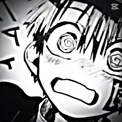 司