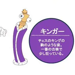 Profile image of キンガー