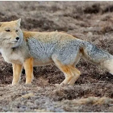 Profile image of 여구미 유타라