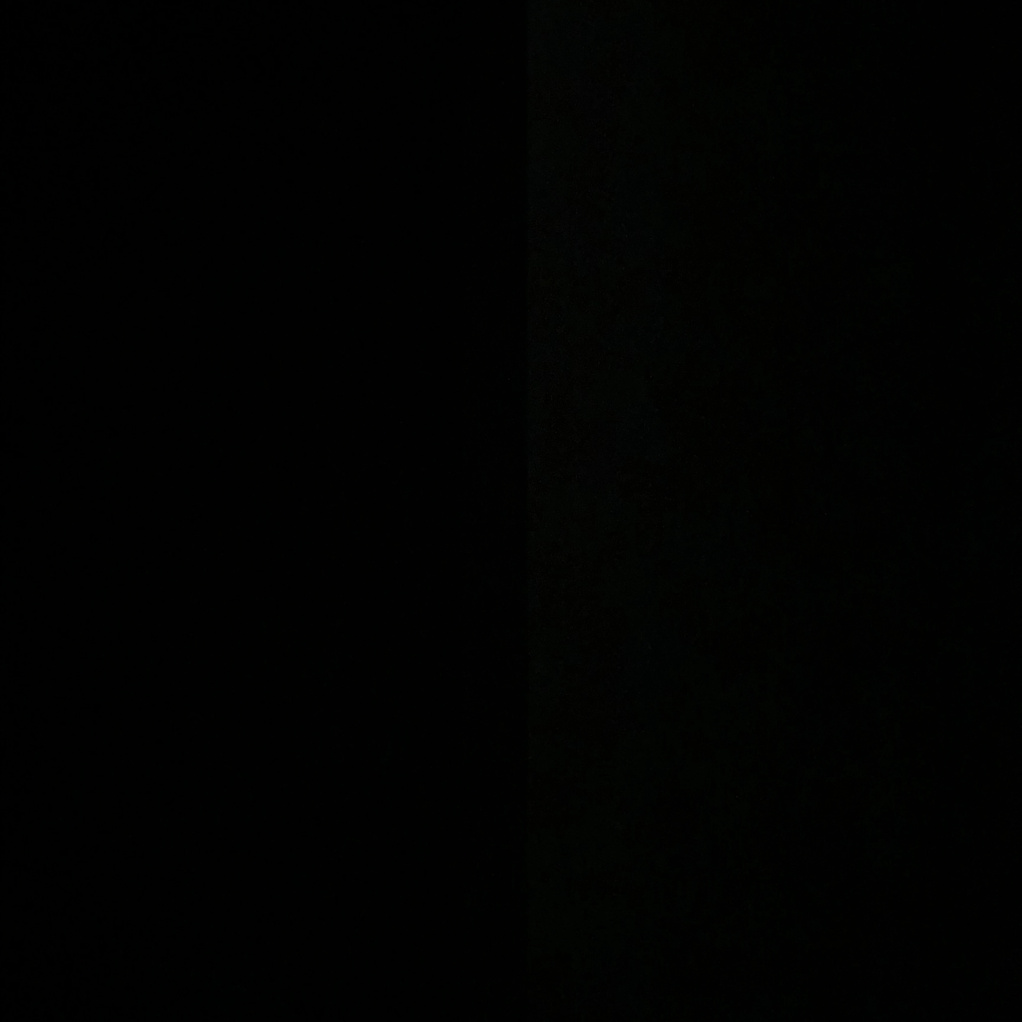 毒親