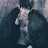 박도현