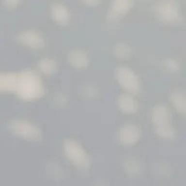 Profile image of United Kingdom