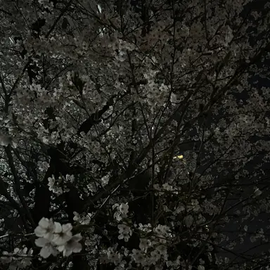 Profile image of 이도혁