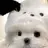 덕개