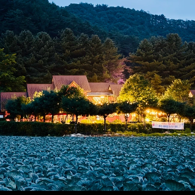한똥민