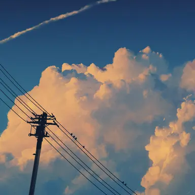 Profile image of 박지훈