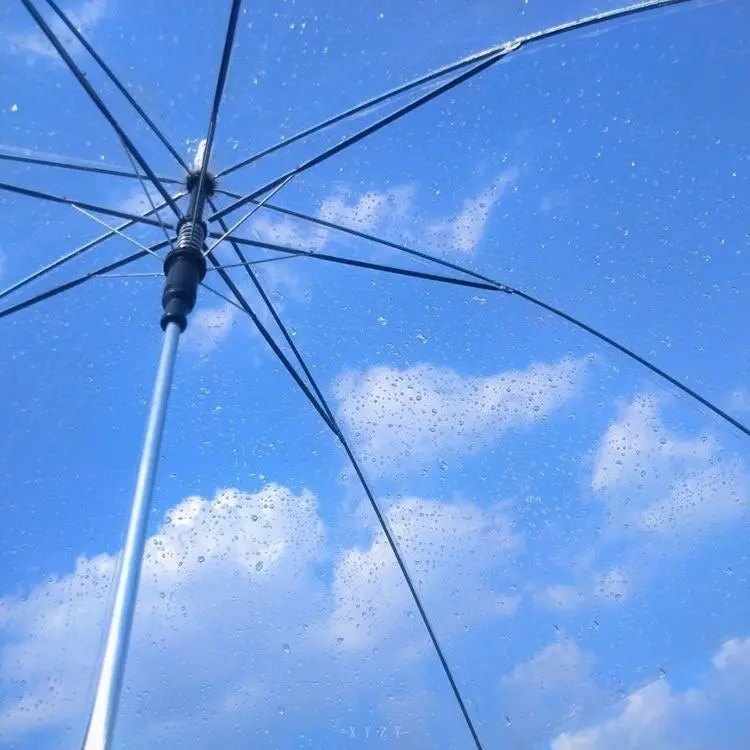 Aino의 파크모