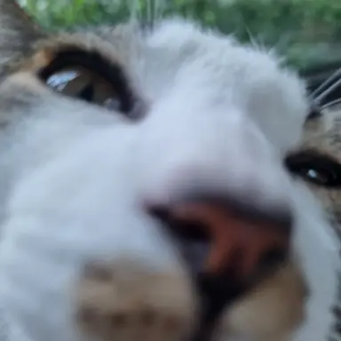 Profile image of 사람들