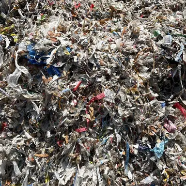 Profile image of 여우