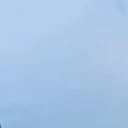 Profile image of 하하