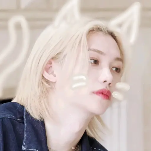 Stayyyyyyyyy의 필릭스