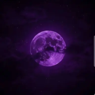 Profile image of 멜로우