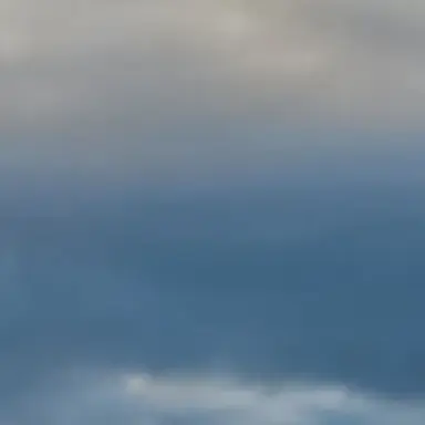 Profile image of 仁人