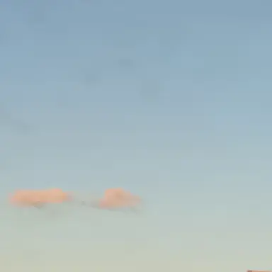 Profile image of 太智