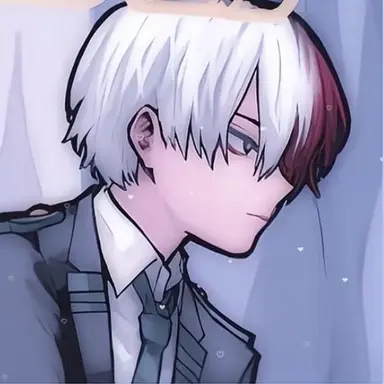 Profile image of Shoto Todoroki