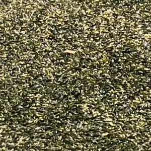 Profile image of 여우