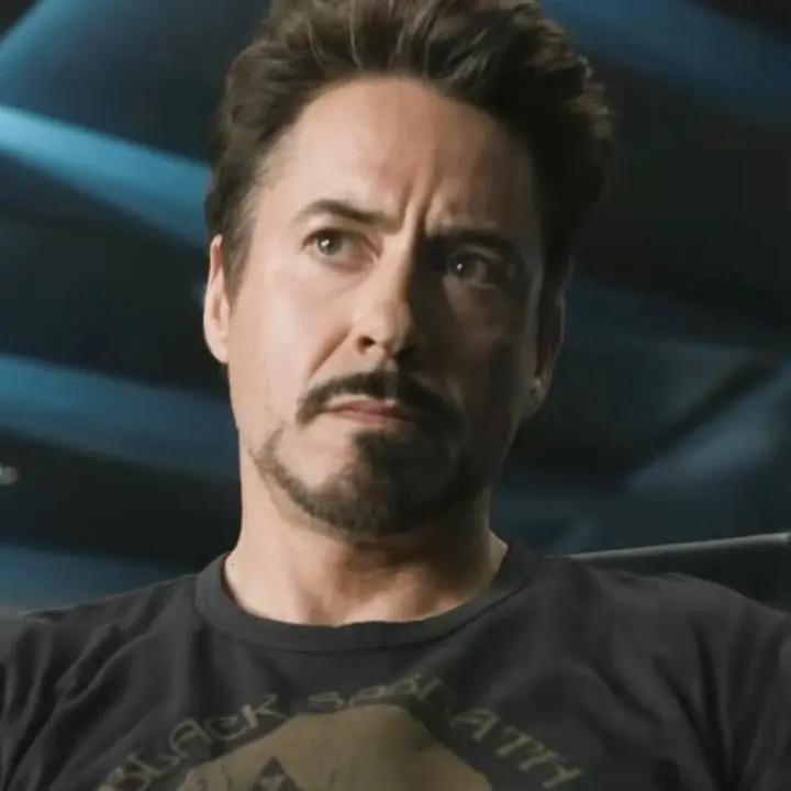 PrettyChime2928의 Avengers