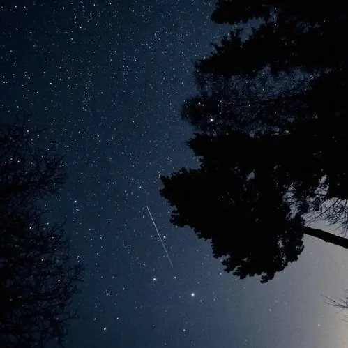 Kimsoogook의 호시나 소우시로