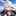 白うさぎ