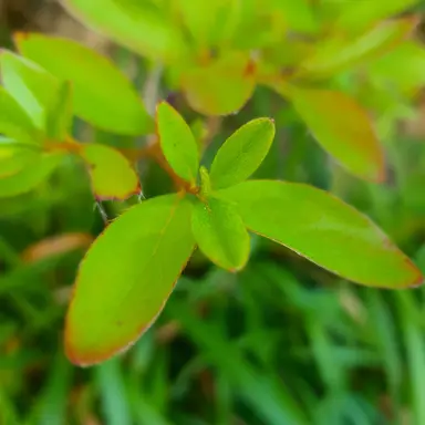 Profile image of 존박