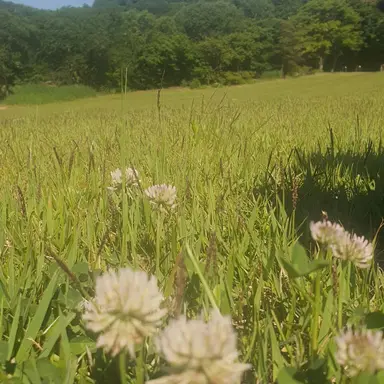Profile image of 퀸가비
