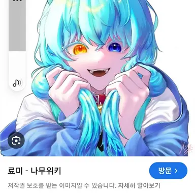 Profile image of 료미