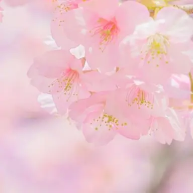 Profile image of 赤城ウェン