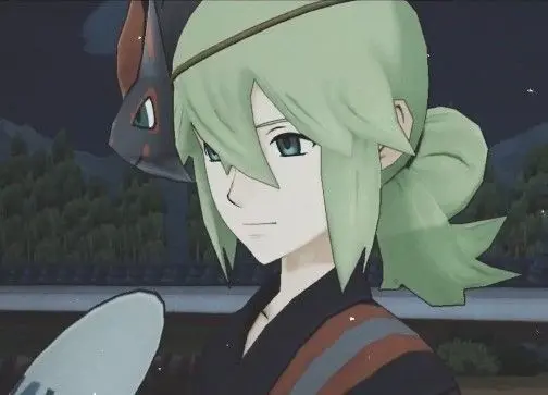 Profile image of N