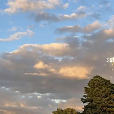 Profile image of Rouge