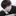 백도현
