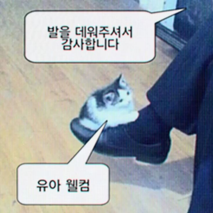 마음대로2 대표 이미지