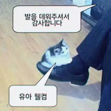 Profile image of 마음대로2