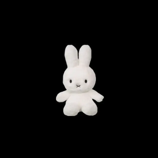 2xx_200의 憑