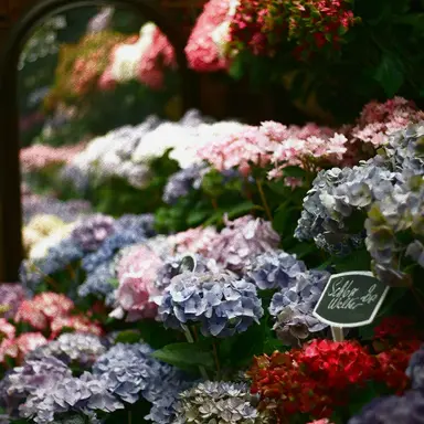 Profile image of 조미연